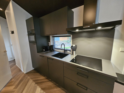 Cocina moderna en Bos Cottage en De Thijmse Berg, Países Bajos, con armarios oscuros y placa de inducción.