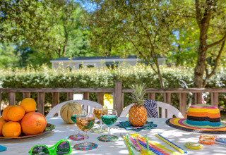 Udendørs bord med frugt, glas, farverige sugerør og sommerhat ved Stacaravan Confort, Flower Camping Au Bois Des Biches.