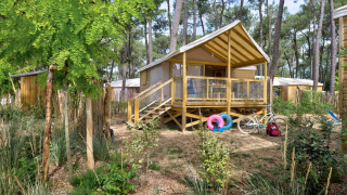 Gezellige Cosyflower-boomhut in het bos, met veranda, fiets en zwemringen in het groen landschap.