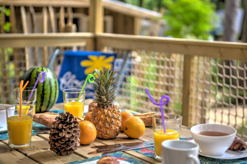 Ontbijt op het boomhuis terras met sap, fruit en koffie bij Cosyflower, Flower Camping Au Bois Des Biches.