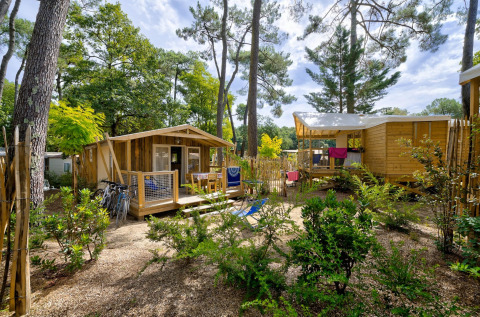 Houten lodges tussen de dennenbomen bij Sweetflower, Flower Camping Au Bois Des Biches in Frankrijk.
