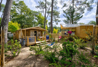 Gemütliche Holzhütten unter Kiefern im Sweetflower-Bereich von Flower Camping Au Bois Des Biches, Frankreich.