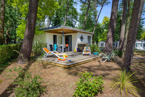 En hyggelig Cottage Premium-hytte på Flower Camping Au Bois Des Biches i Frankrig, omgivet af fyrretræer.