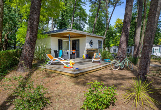 En hyggelig Cottage Premium-hytte på Flower Camping Au Bois Des Biches i Frankrig, omgivet af fyrretræer.