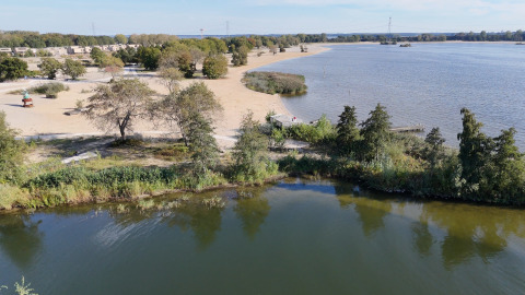 Strand en meer bij een glamping-accommodatie met zand, bomen en rustige natuur in zonlicht.