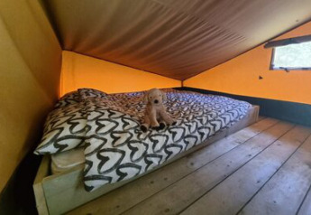 Vue intérieure de la tente Safari «Ranger» au camping 't Geuldal avec un lit et une peluche dessus.