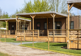 Modern wooden lodges with porches on a green campsite, surrounded by trees under a clear sky.