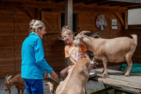 Een vrouw en een meisje spelen met geiten bij Limburg Lodge XL op Camping 't Geuldal in Nederland.
