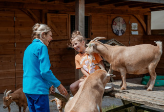 Een vrouw en een meisje spelen met geiten bij Limburg Lodge XL op Camping 't Geuldal in Nederland.
