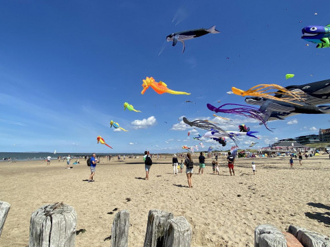 Mensen genieten van een zonnige dag aan het strand en laten kleurrijke vliegers op bij een glampingverblijf.