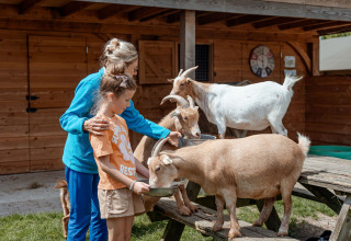 Two people feed goats on a picnic table in front of a wooden cabin at Campsite 't Geuldal in Limburg.