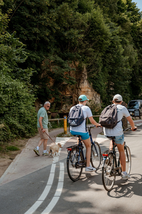 Due ciclisti e un uomo anziano con un cane su un sentiero immerso nel verde a Meerssen, Limburgo.