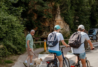 Due ciclisti e un uomo anziano con un cane su un sentiero immerso nel verde a Meerssen, Limburgo.