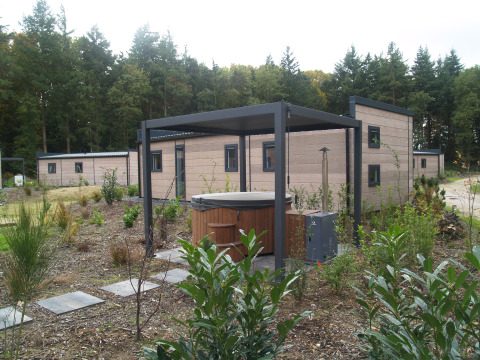 Groeneborg Lodge met hottub in Vakantiepark De Wiltzangh, Nederland, omgeven door groen en bos.