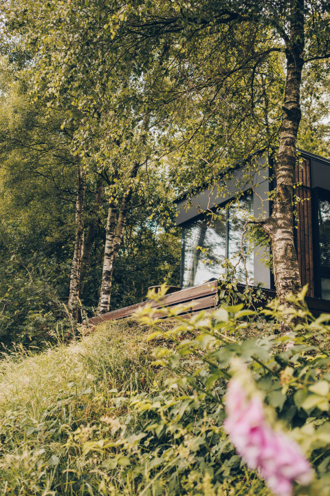 Cabaña Nokken NKN-18 en Wilsumer Berge, Alemania, rodeada de árboles, hierba y flores silvestres.