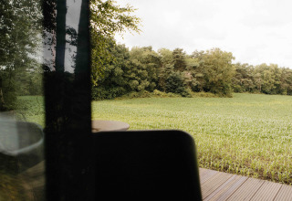 Uitzicht vanuit de Nokken NKN-18 Cabin bij Wilsumer Berge, Duitsland op een groen veld en bomenrij.