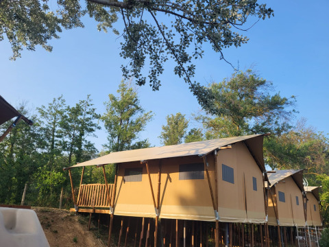 Tenda safari su palafitte immersa nella natura, circondata da alberi e cielo azzurro, con veranda.