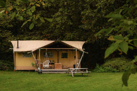 Tente safari Glamping tent La Vida sur une pelouse verte, entourée d’arbres, avec terrasse et banc.