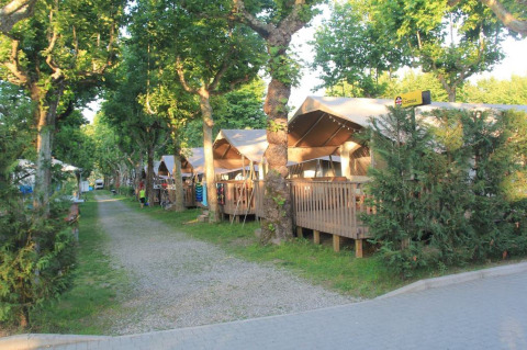 Safari-Zelte auf einer von Bäumen gesäumten Campingplatzstraße mit Holzterrassen und viel Grün.
