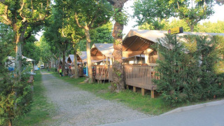 Tentes safari sur pilotis alignées dans un camping verdoyant, bordé d’arbres et allée en gravier.
