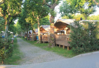 Safari-Zelte auf einer von Bäumen gesäumten Campingplatzstraße mit Holzterrassen und viel Grün.