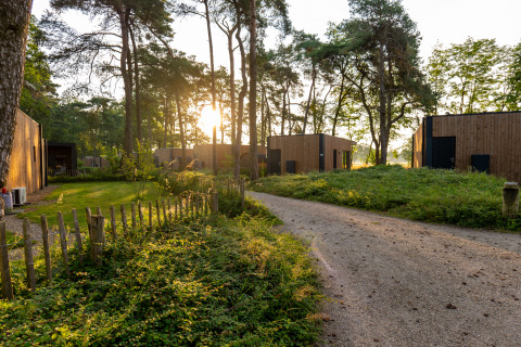 Sunrise shines through trees behind modern wooden lodge cabins, with a winding gravel path in the foreground.