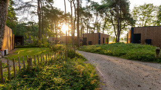 Lever du soleil derrière des cabanes en bois modernes dans une forêt paisible, chemin de gravier au premier plan.