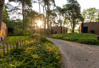 Sunrise shines through trees behind modern wooden lodge cabins, with a winding gravel path in the foreground.