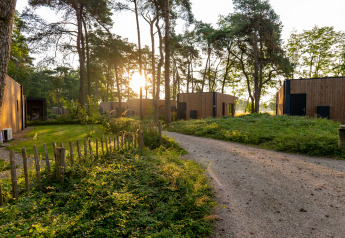 Solopgang ved moderne hytter i træ beliggende i en fredelig skov, en grusvej snor sig gennem området.