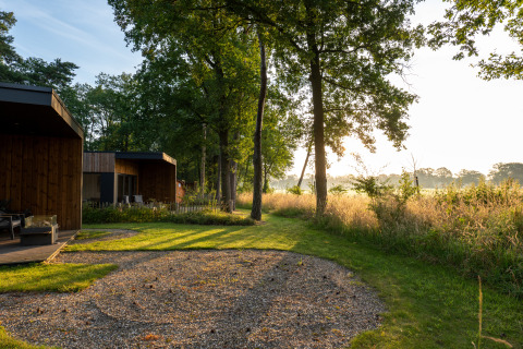 Morning sunlight shines on a wooden lodge at Hofparken Wiltershaar, surrounded by trees and green nature.