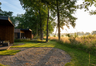 Morgenlicht fällt auf eine Holzhütte im Hofparken Wiltershaar, umgeben von Bäumen und natürlichem Grün.