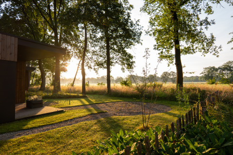 Vue ensoleillée à Vakantievilla Boslodge 2, Hofparken Wiltershaar, aux Pays-Bas, pelouse, arbres et soleil.