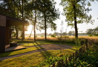 Zonnig uitzicht aan Vakantievilla Boslodge 2 in Hofparken Wiltershaar, Nederland, gazon en bomen.