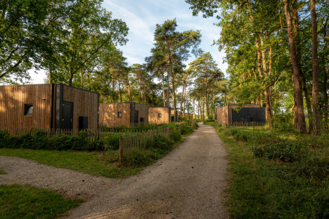 Photo of modern wooden lodges lining a gravel path in a tranquil forest, surrounded by lush green trees.