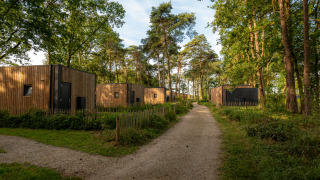 Afbeelding van moderne houten lodges langs een grindpad in een rustige, groene bosomgeving met bomen.