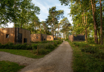 Foto di moderni lodge in legno lungo un sentiero di ghiaia in una tranquilla foresta circondata da alberi.