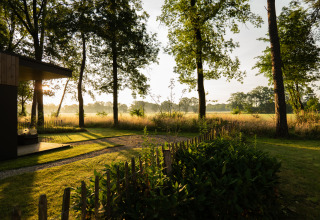 Vue depuis Vakantievilla Boslodge 2 avec sauna à Hofparken Wiltershaar, Pays-Bas, montrant arbres et prairie.