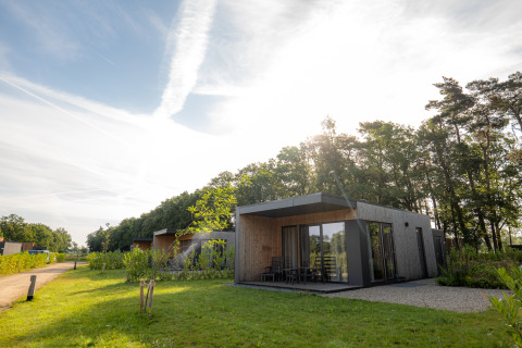 Moderna villa vacanze Amalia 2 con sauna a Hofparken Wiltershaar, immersa nella natura nei Paesi Bassi.
