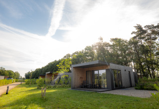 Villa de vacances moderne Amalia 2 avec sauna à Hofparken Wiltershaar, entourée de nature aux Pays-Bas.
