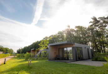 Moderne vakantievilla Amalia 2 met sauna bij Hofparken Wiltershaar, omgeven door natuur in Nederland.