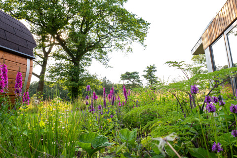 Groene tuin met paarse bloemen voor een moderne vakantievilla en sauna bij Hofparken Wiltershaar.
