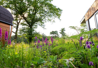 Green garden with purple flowers in front of modern holiday villa Amalia 2 and sauna at Hofparken Wiltershaar.