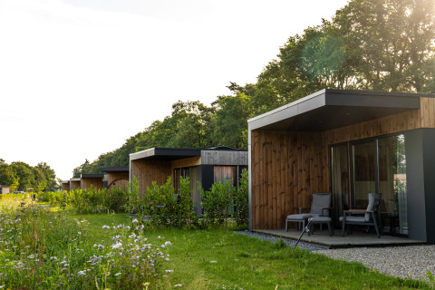 Modern holiday lodges at Holiday Villa Amalia 2, Hofparken Wiltershaar, Netherlands, surrounded by greenery.