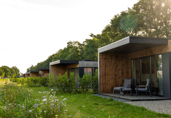 Ville vacanze moderne ad Holiday villa Amalia 2, Hofparken Wiltershaar, Paesi Bassi immerse nel verde.