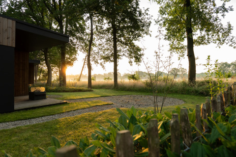Vue depuis la terrasse de Vakantievilla Boslodge 2 avec sauna à Hofparken Wiltershaar, entouré de soleil et forêt.