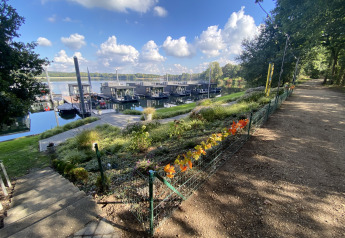Zicht op Houseboat Marina Mookerplas in Nederland met woonboten, bloemen en een wandelpad aan het water.