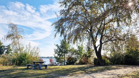 Udsigt over picnicbord ved sø, omgivet af træer og blå himmel, ved en glampingindkvartering.
