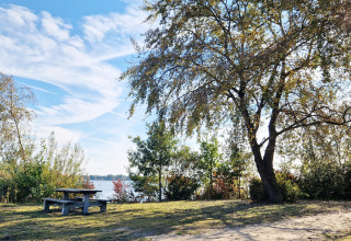 Picknickbank bij het meer onder bomen met blauwe lucht bij een glampingverblijf.