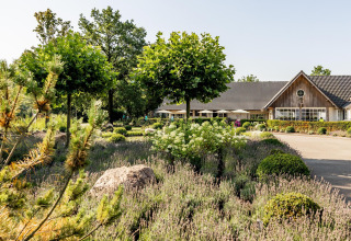 Photo of a glamping accommodation with a stylish lodge, landscaped garden, trees and well-kept bushes.