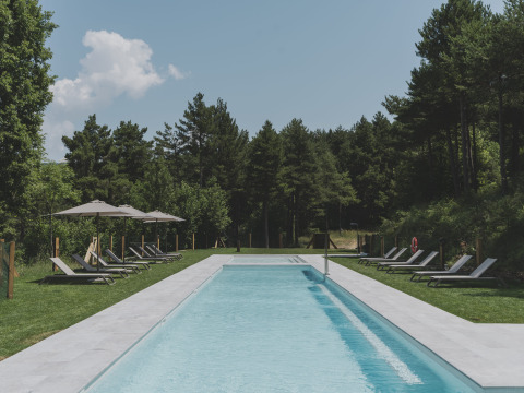 Buitenbad met ligstoelen en parasols omgeven door bos bij Wecamp Pedraforca in Catalonië.